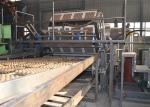 Professional Paper Pulp Molding Equipment Rotary Forming Paper Egg Tray