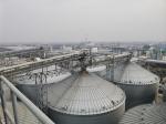 Galvanized Steel Silos Compliant with Local Agricultural Safety Regulations and