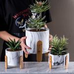 Table Pots Succulents Plant Pots Homewares Decorative Items Mini Cement Flower