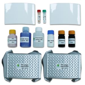 Wholesale Parvovirus Antibody Diagnostic Porcine Test Kit 192Wells/Kit PPV from china suppliers