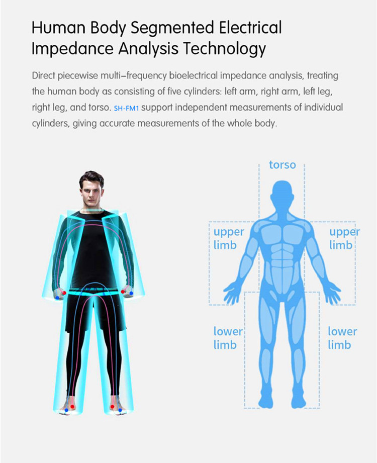 Best Professional Bioimpedancia Body Composition Analysis Body Composition Scale for Gym