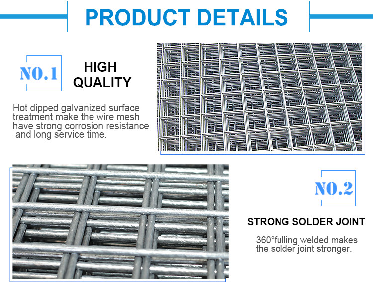 Galvanized Steel Welded Mesh Metal Fence Gi Wire Weld Iron Wire Net