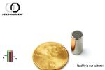 N42 Super Neodymium Cylinder Magnets D10x30mm For Medical Facility