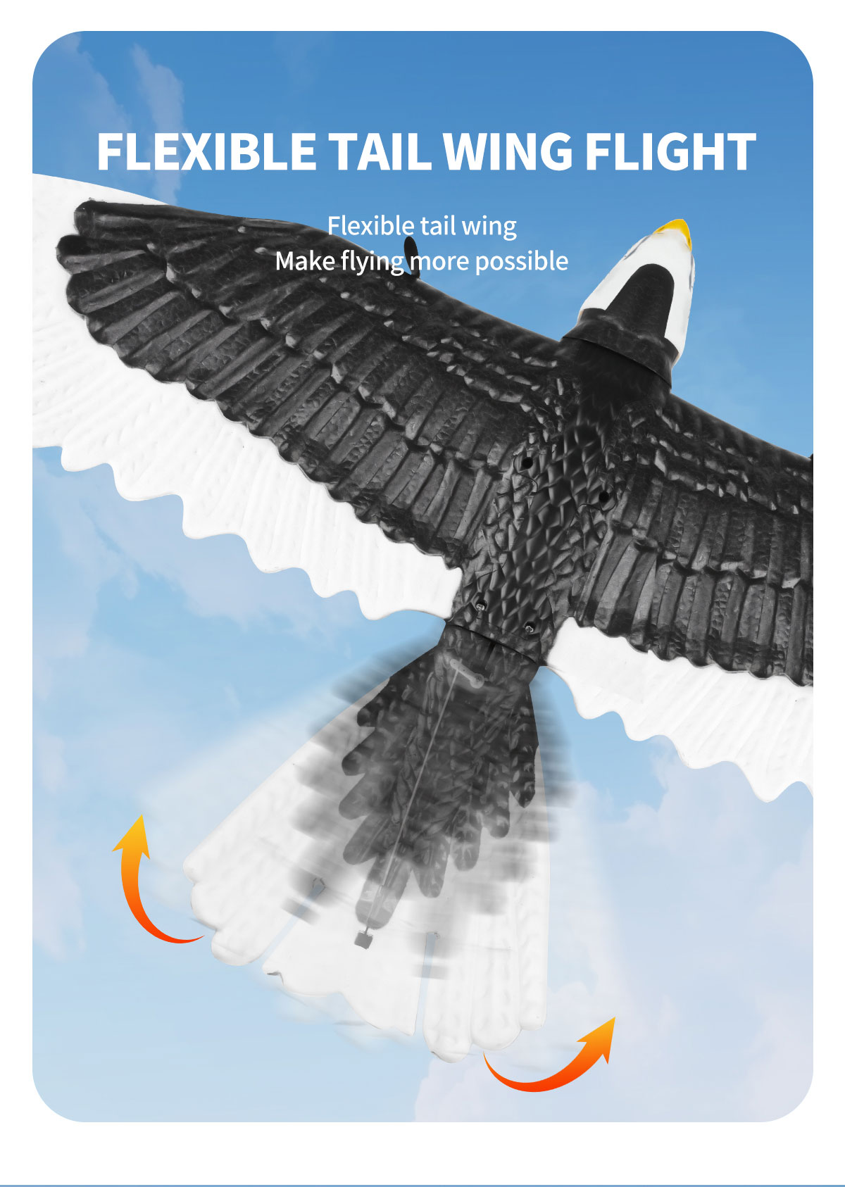 Features RTF 3ch Epp Foam Rc Simulation Wingspan Bald Eagle 2.4g Rc Glider Airplane Toys with 14 Years up Age Range