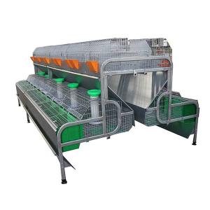 Wholesale 12 Mums Commercial Farm Rabbit Cage High Rearing Efficiency Smart Drinking / Feeding from china suppliers