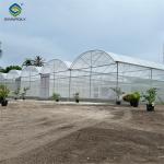 Hydroponic Glass / Pc Sheet Greenhouse With Tomato Growing System Large