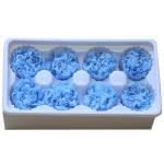 Factory Price Preserved Flowers Real Preserved Carnation For Mother