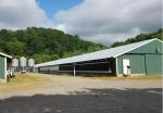 Durable Steel Poultry House Automatic Feeding System Feeding Pan Poultry