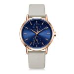 Small Dial Womens Casual Leather Watch Pin Buckle Tempered Glass Waterproof