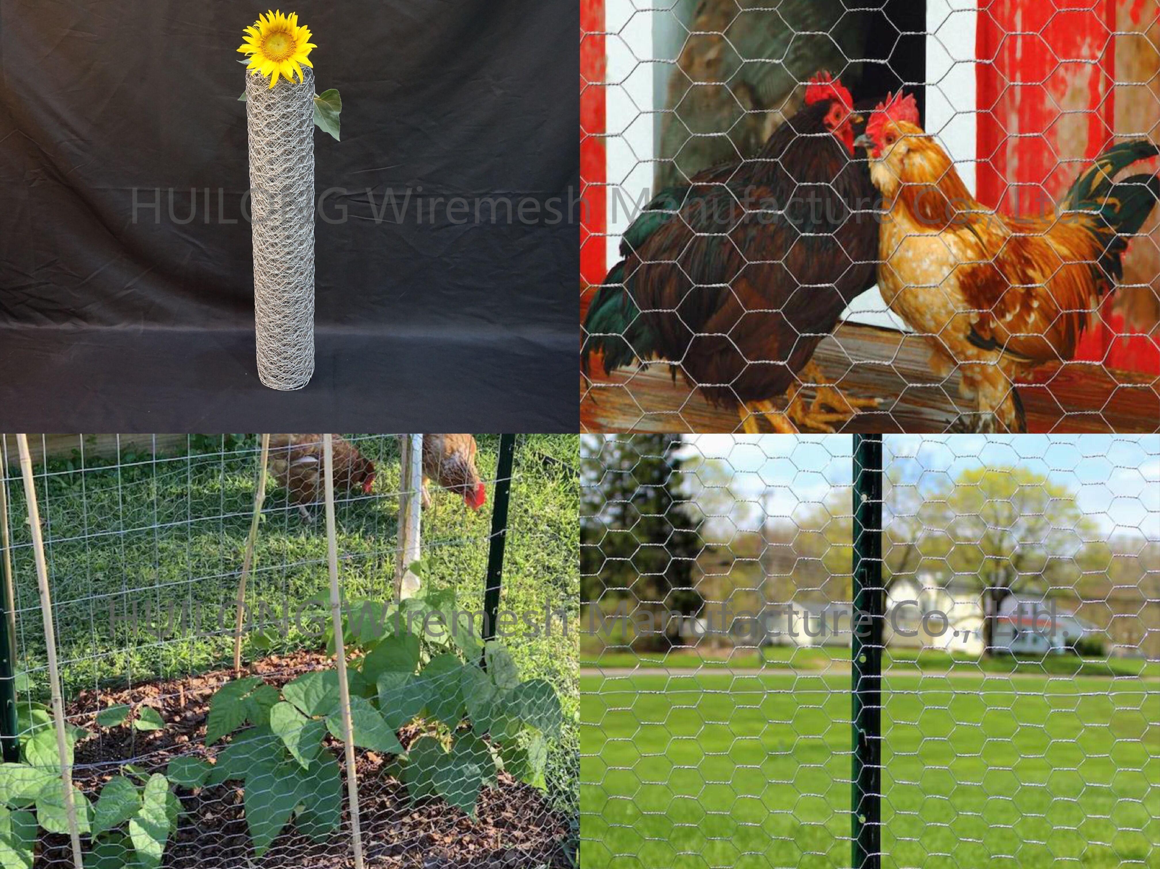 4 Feet Galvanised Hexagonal Netting for Craftwork Poultry Enclosure