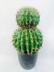 Wholesale Cactus Ball Highly Lifelike 90cm Artificial Succulent Plant Round Shape from china suppliers