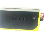 Electric Vehicle Universal Customized Silver fish 48v 52V 60v10ah 20Ah 30ah 500w