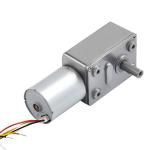 Faradyi Custom Worm Gear Reducer Motor Volts 24V Brush Carbon 4632 Worm Geared