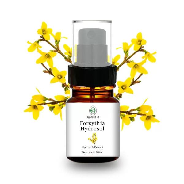 Colorless Natural Hydrosol Forsythia Fruit Extract Clearing Away Heat Detoxifica