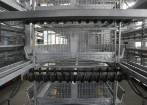 Wholesale Modern Poultry Raising Equipment Suitable For Closed Chicken House from china suppliers