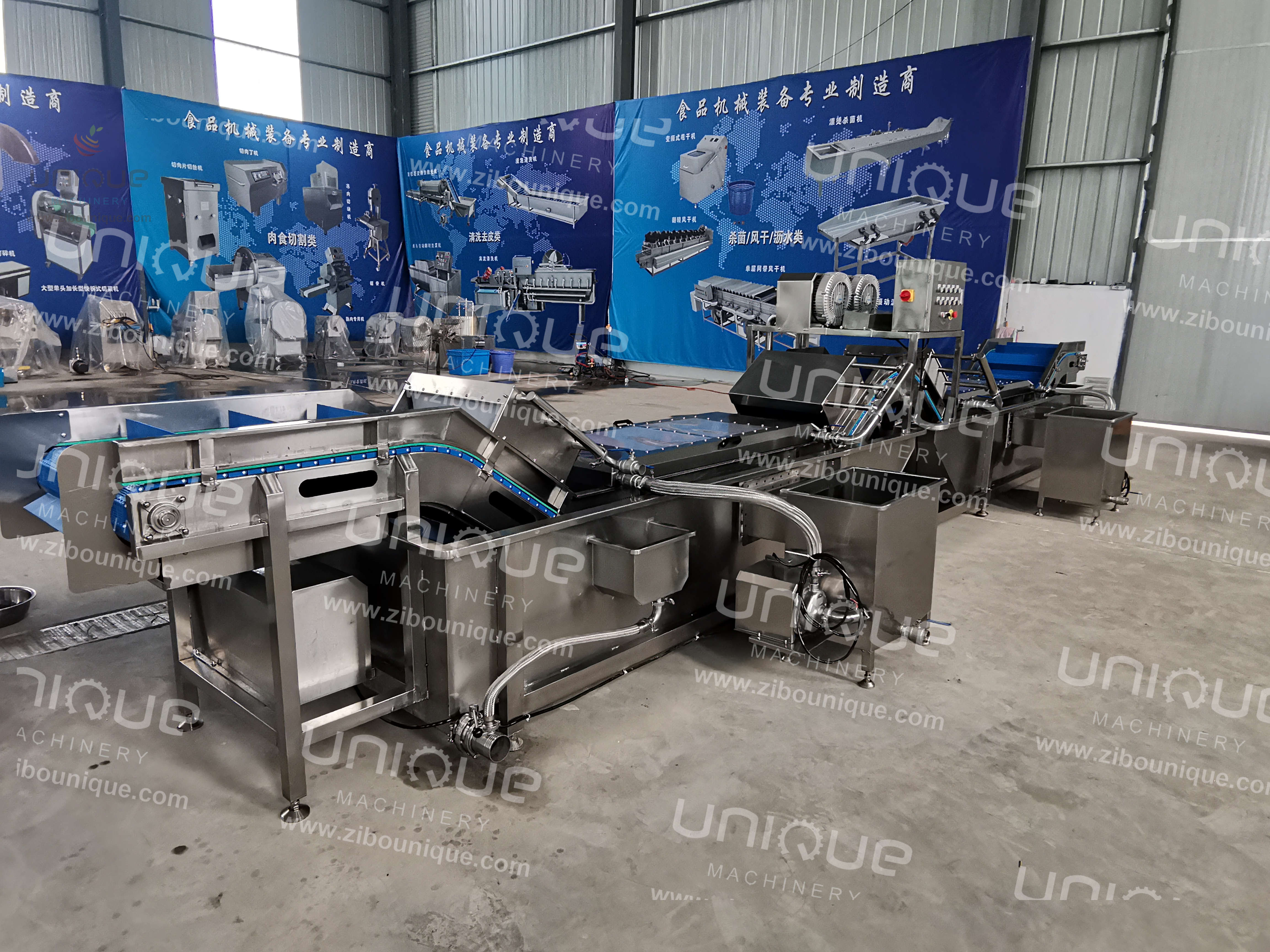 Stainless Steel 304 Onion and Parsley Leaf Vegetable Washing Machine with Performance