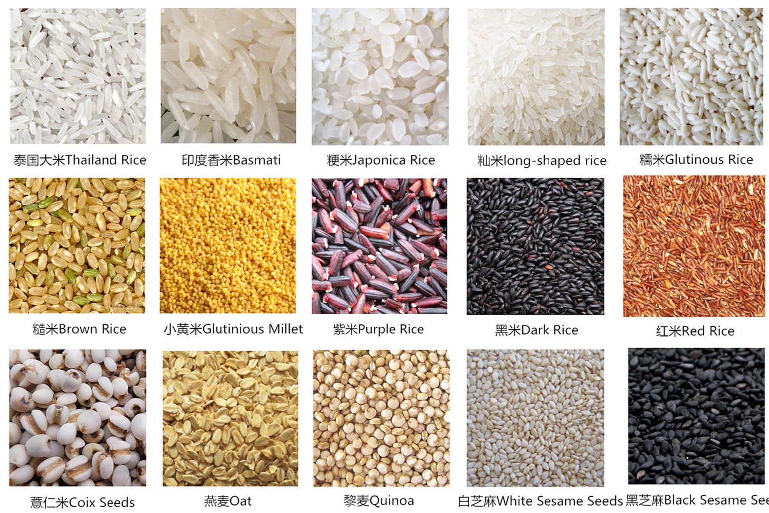 Simple Operation Rice Optical Color Sorter For Home Use / Food Shop