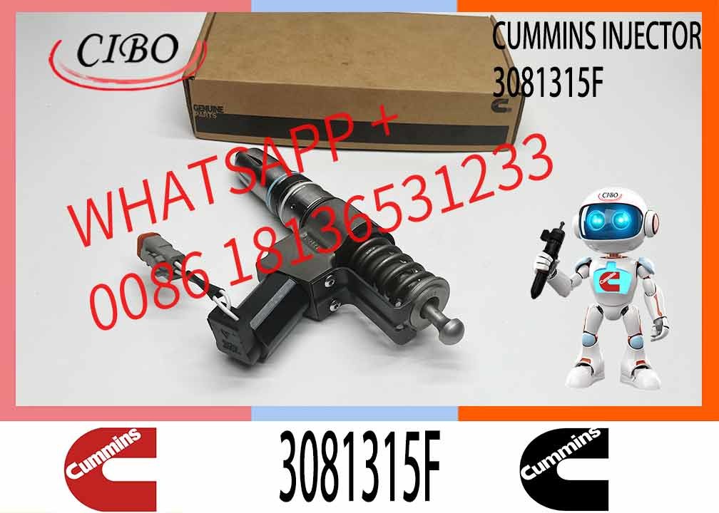 Machinery Engine Parts Common Rail Fuel Injector 3411760 3081315F 3409975 For Cummins N14