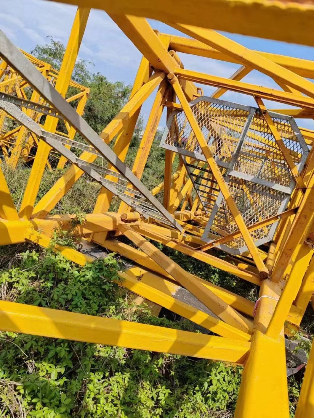 2020 Zoomlion Tower Crane (w6015-8) Best-Selling Model
