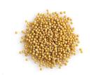 Dehydrated Mustard Powder Food Seasoning Products Baked Processing Type