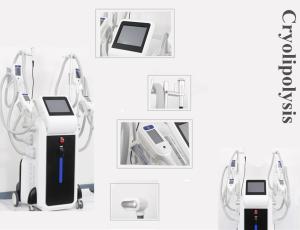 Wholesale OEM and ODＭ service body slimming cryoliplysis fat reduction machine from china suppliers