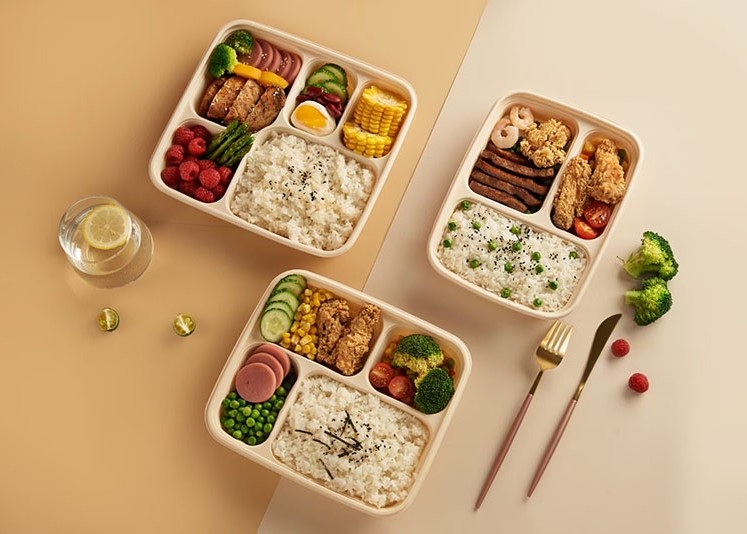 Sugarcane Biodegradable Disposable Plate Making Machine Tableware Plate Bowl Tray