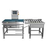 Vertical High 750±50MM Conveyor Weight Checker Small Tunnel Size