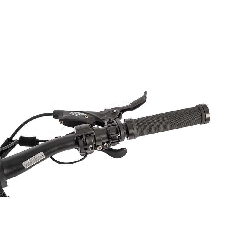 48V 15 Ah Central Motor 11 Speed Carbon Fibre Fat Tire Electric Motorcycle for Adults