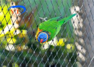 Wholesale Diamond Shape Stainless Steel Bird Mesh Ferruled Type Or Bird Netting from china suppliers
