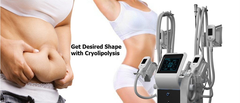2018 latest Cryolipolysi Cool Shape machine Fat loss Cryolipolysis fat freezing machine Germany
