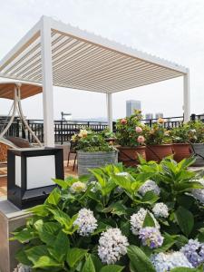 Wholesale Aluminum Louvered Pergola Gazebos With Polycarbonate Roof Galvanized Steel Metal from china suppliers
