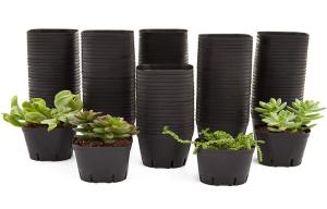 Wholesale Small Drain Holes Horticultural Plant Pots Modern Bonsai Plastic Dumpy Plants from china suppliers