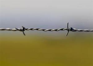 Wholesale Durable Military Pvc Coated Barbed Wire , Barbed Fencing Wire Bulk Weight OEM from china suppliers
