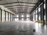 Economical Hangar Steel Building Construction Warehouse Steel Structure