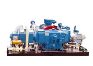 Wholesale Water Cooling Small Cng Compressor Cng Equipment Shaft Coupling Driven from china suppliers
