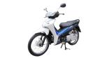 Chain Cover CDI CUB Motorcycle 110cc Moped Dual Sport Dirt Bike
