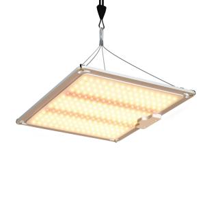 Wholesale 600w HPS 4x4 Grow Light Plant Lamp Promote Flowering And Fruiting from china suppliers