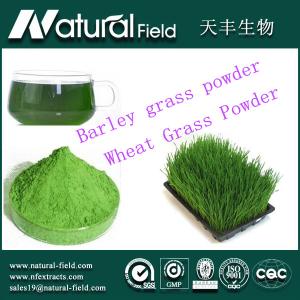 Wholesale Food supplement for losing weight wheat grass juice from china suppliers