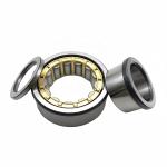 Chrome Steel Gcr15 Cylindrical Roller Bearing NUP2311EM 55*120*43mm for Food