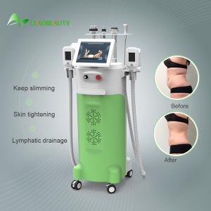 Wholesale Obvious slimming results of the cryolipolysis slimming machine fat freezing machine from china suppliers