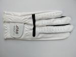 golf glove , golf gloves , glove , gloves