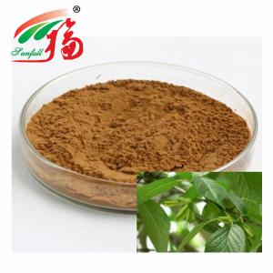 Wholesale Eucommia Ulmoides Leaf Extract Anti Virus Anti Bacteria Effects For Animal Feed from china suppliers