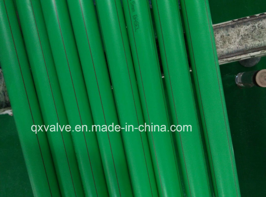 High Quality PPR Pipe/PPR Hot Water Pipe Pn16 20-110mm