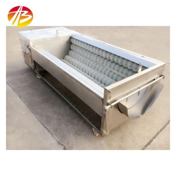 304 Stainless Steel Portable Vegetable Brush Type Washing And Peeling Machine