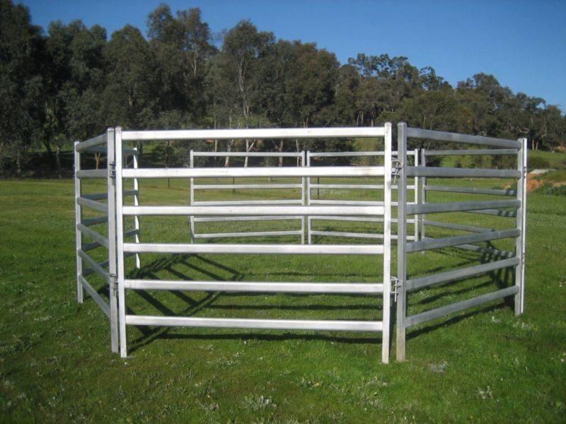 40x40 1.8M x 2.1M Heavy Duty Portable Cattle Panels For sale 6 Oval Bars 30*60mm