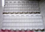 Poultry Farm High Quality Adult And Baby Chicks Poultry Slats baby chicks