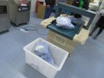 Children Blanket Third Party Inspection Services 10 inspections per Day