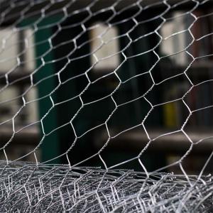 Wholesale Q235 HDG Metal Chicken Wire Garden Fence BWG25 Straight Twisted from china suppliers