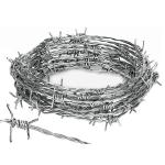 Galvanized Steel Wire Top Sale Electro GI Barbed Wire 50 KG Per Roll For