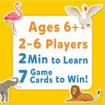 Super Fun for Travel & Family Game Night Custom design Wholesale OEM VN Supplier